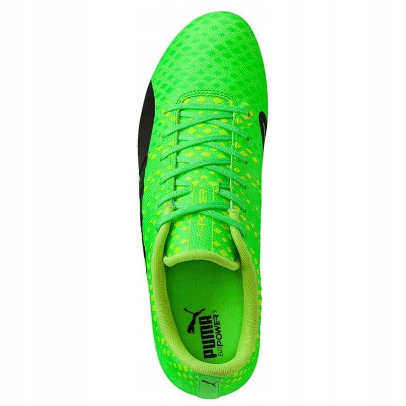 Chaussures de football Puma Evo Power Vigor 3 Fg vert 103956 01 2