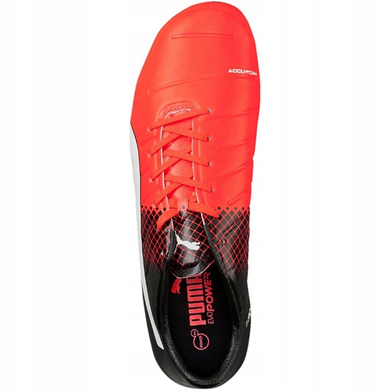Chaussures de football Puma Evo Power 2.3 Fg 103853 01 noir noir 2