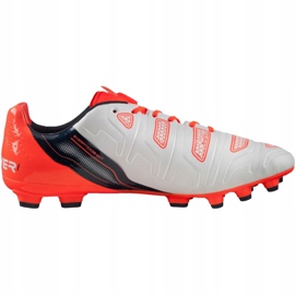 Chaussures de foot Puma Evo Power 1.2 Ag 103213 05 gris 1