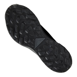 Nike Pegasus Trail 2 Gtx M CU2016-001 chaussures de course le noir 2