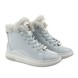 Bottes grises, bottes Freemans isolées 2