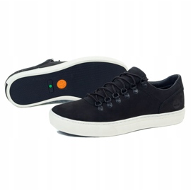 Chaussures Timberland Adv 2.0 Cupsole M A17MP le noir 1