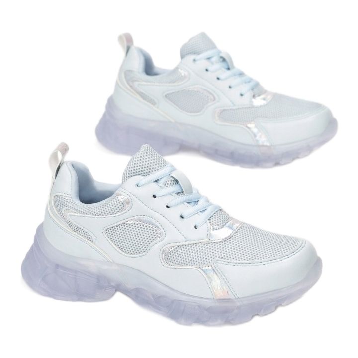 Vices Etaux 8553-51-bleu 1 Vices Etaux 8553-51-bleu 1