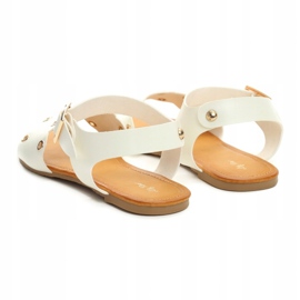 Vices Etaux 2213-41 Blanc 1