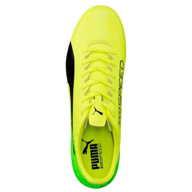 Chaussures de football Puma Evo Speed ​​17.4 Fg M 104017 01 vert 1
