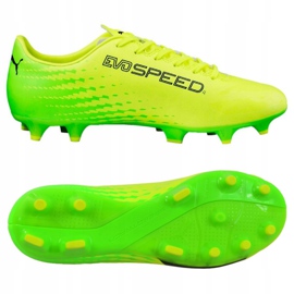Chaussures de football Puma Evo Speed ​​17.4 Fg M 104017 01 vert 2