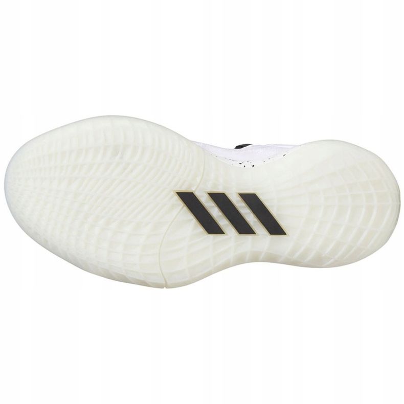 Chaussure de basket-ball Adidas Harden Stepback 2 Jr FZ1545 blanc, blanc, noir blanche 2
