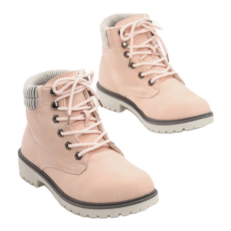 Vices Etaux T070-20 Rose 1 Vices Etaux T070-20 Rose 1