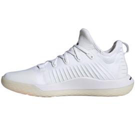 Chaussures homme Adidas Stabil Next Gen M blanc et noir FU8317 1