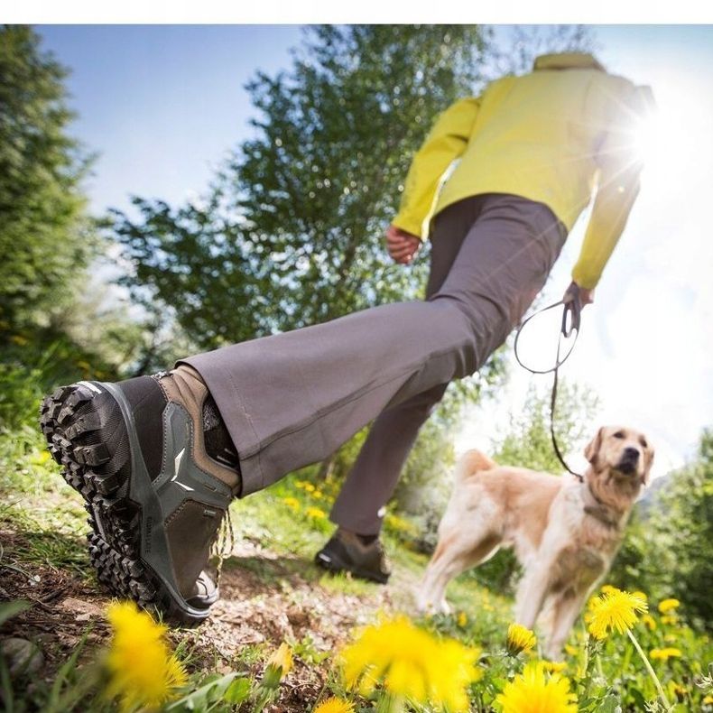 Chaussures Salewa Wander Hiker Gtx W 63461 2460 gris 1