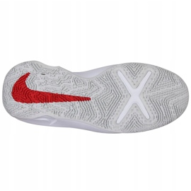 Chaussure de basket-ball Nike Team Hustle D 10 Big Jr CW6735 005 rouge, blanc, rouge, bleu marine rouge 1