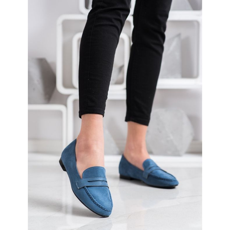 Goodin Seigneurs bleus 2