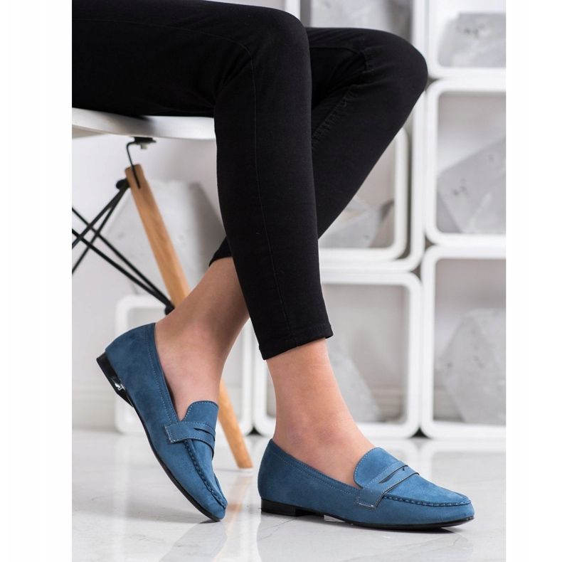 Goodin Seigneurs bleus 1