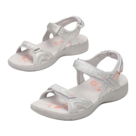 Vices Etaux 7SD9172-366-argent / gris 1 Vices Etaux 7SD9172-366-argent / gris 1