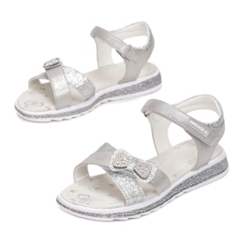 Vices Etaux 5SD734-441-gris / argent 1