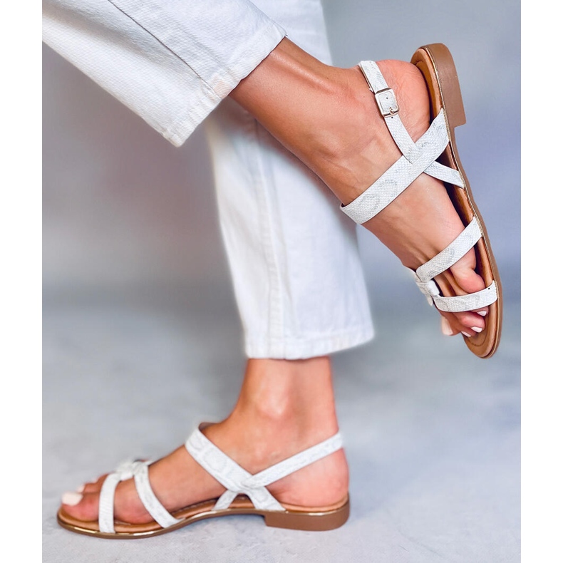 Sandales argentées pour femmes H8-176 Argent 2