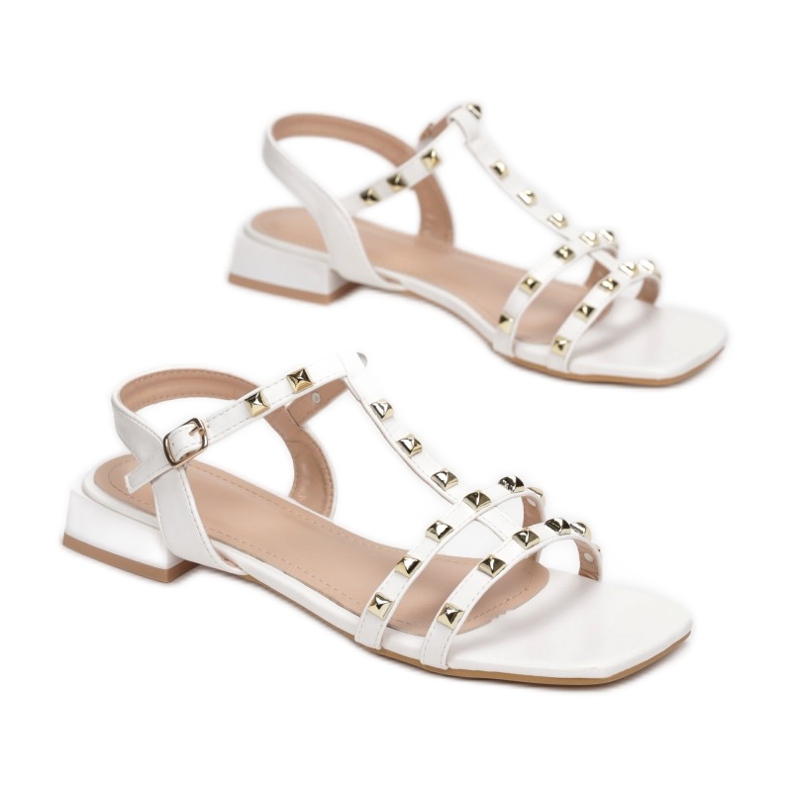 Vices Etaux CIC-10-71-blanc 1