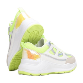 Vices Etaux FF-1-61-vert blanche multicolore 2