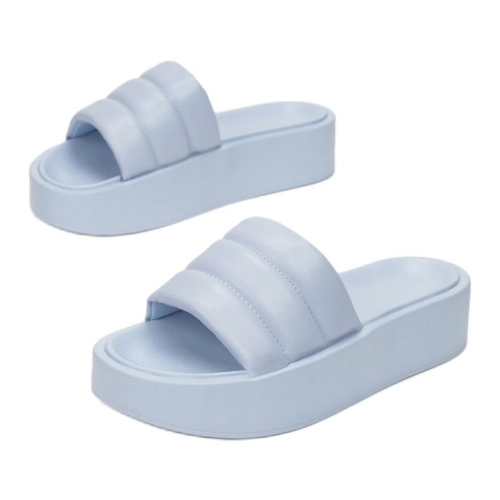 Vices Etaux 2256-94-l.bleu 1