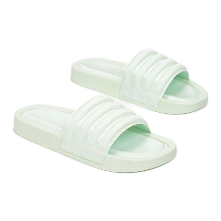 Vices Etaux 55-113-61-vert 1