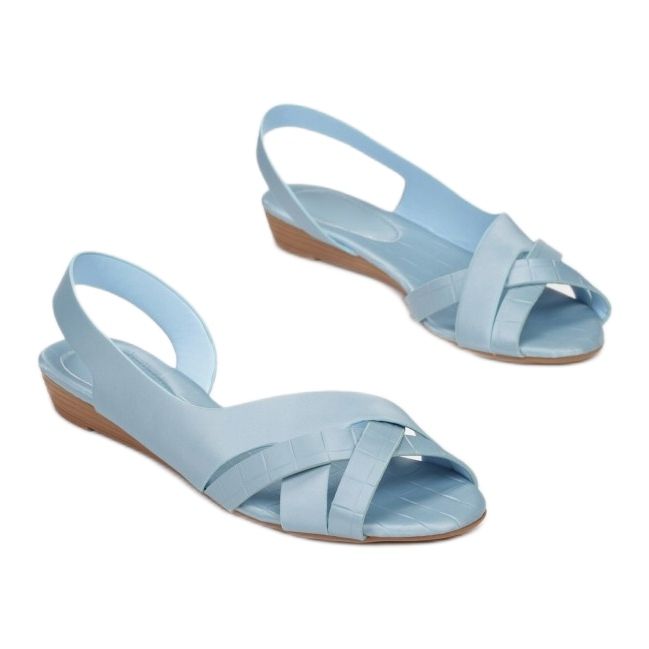 Vices Etaux CM003-51-bleu 1 Vices Etaux CM003-51-bleu 1