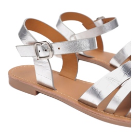 Vices Etaux 55-8-52-argent 1