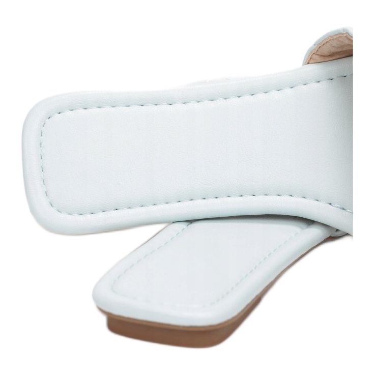 Vices Etaux LDAY-F18-51-bleu 1