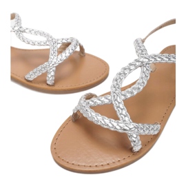 Vices Etaux 8839-105-52-argent 1 Vices Etaux 8839-105-52-argent 1