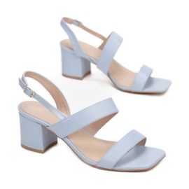 Vices Etaux 77-282-51-bleu 1