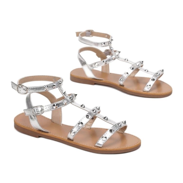 Vices Etaux 8839-301-52-argent 1 Vices Etaux 8839-301-52-argent 1