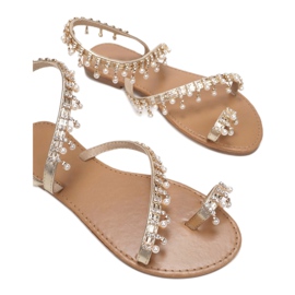 Vices Etaux 8839-F18-60-or doré 1