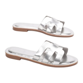 Vices Etaux CM-55-97-52-argent 1