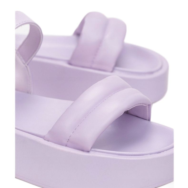 Vices Etaux 2257-66-violet 1