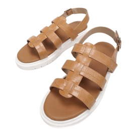 Vices 1957-10-68-chameau brun 1