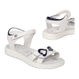 Vices Etaux B-3156-101-blanc / bleu blanche 1