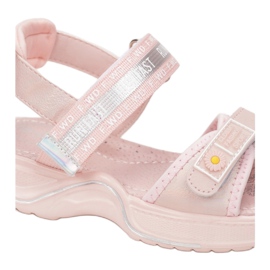 Vices Etaux C-T9081-45-rose 1 Vices Etaux C-T9081-45-rose 1