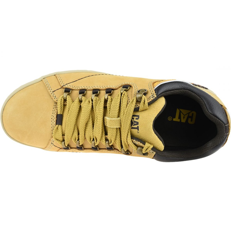 Caterpillar Chenille Apa M P711588 brun jaune 2