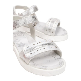 Vices Etaux T53-40-52-argent 1 Vices Etaux T53-40-52-argent 1