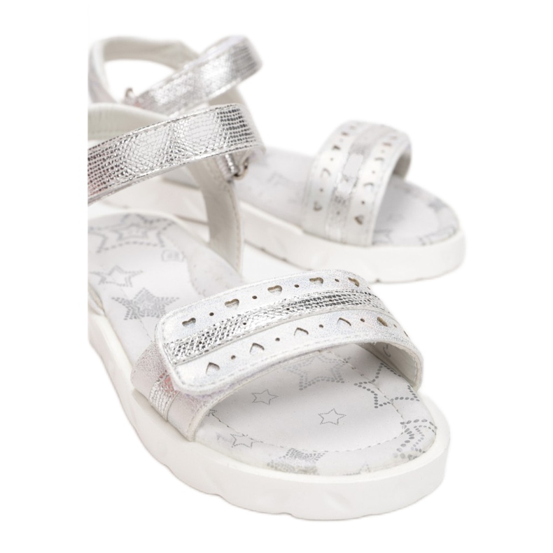 Vices Etaux T53-40-52-argent 1 Vices Etaux T53-40-52-argent 1