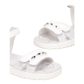 Vices Etaux T51-73-71-blanc 1