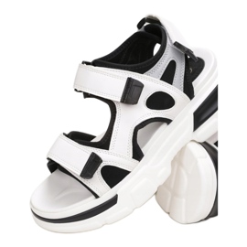 Vices Etaux 8088-2-38-noir blanc 1