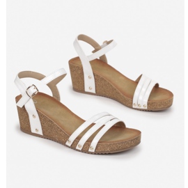 Vices Etaux FD53-71-blanc 1