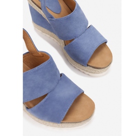 Vices Etaux T893-51-bleu 1 Vices Etaux T893-51-bleu 1