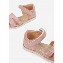 Vices Etaux T54-83-45-rose 1