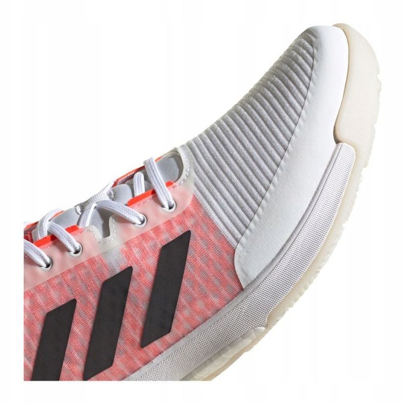 Chaussures Adidas Crazyflight Tokyo M GW2321 blanche blanche 1
