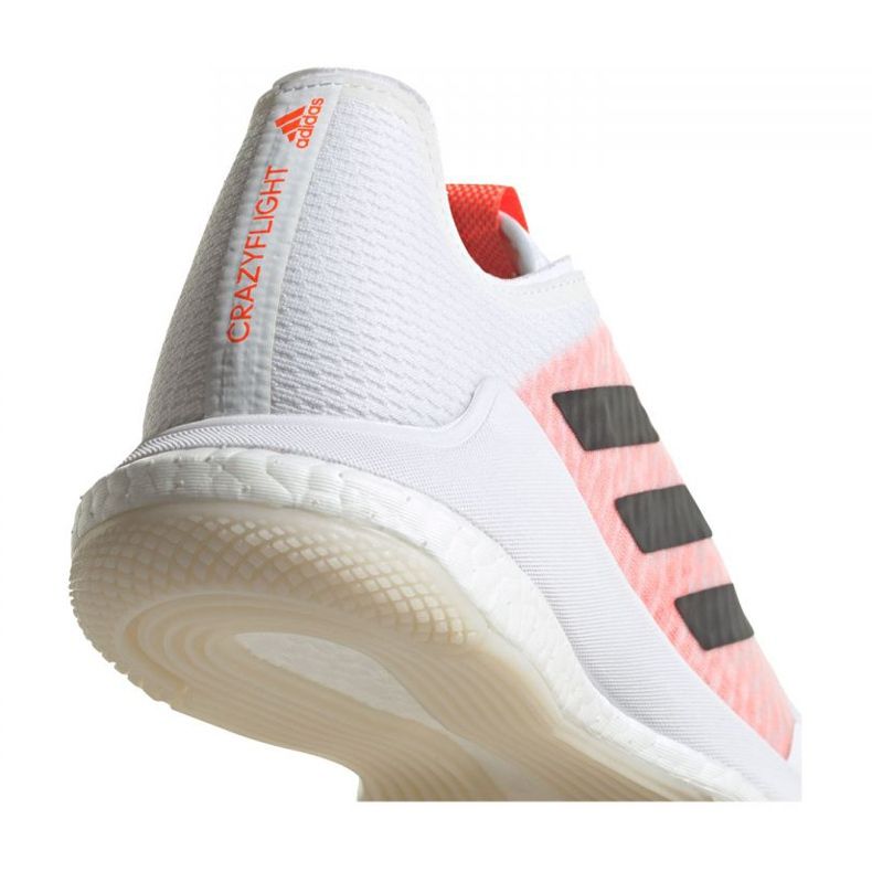 Chaussures Adidas Crazyflight Tokyo M GW2321 blanche blanche 2