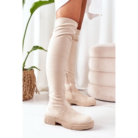 PS1 Cuissardes en daim beige Selina 5