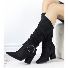 Bottes noires sur le poteau de Berie 1