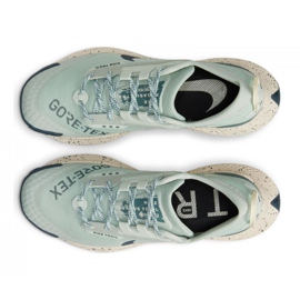 Nike Pegasus Trail 3 Gtx W DC8794-003 chaussures de course vert 1