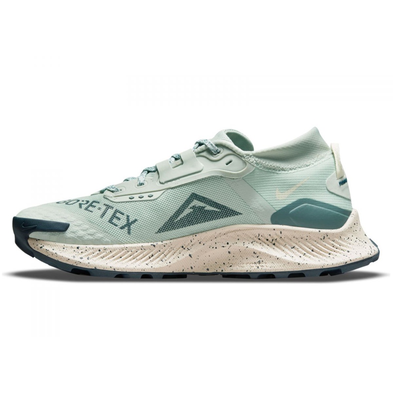 Nike Pegasus Trail 3 Gtx W DC8794-003 chaussures de course vert 2